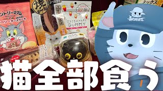 猫を食らう日