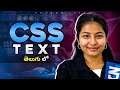 Css text in Telugu