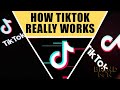 5 Easy Tips To Get TikTok Fans + Breakdown | How To Get TikTok Famous P1/4