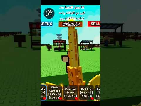 يال شدو حيلكم