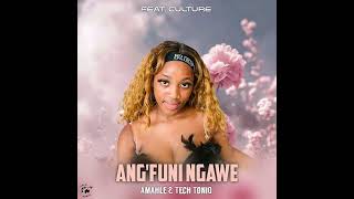 Ang'funi Ngawe - Amahle_Tech_ToniQ (feat. Culture)
