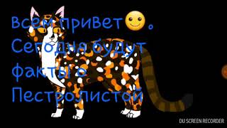 Коты Воители-факты о Пестролистой. Читать описание. Коты Воители-факты о Пестролистой. Читать описание.