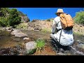 Vlog #28: Paseo de pesca con mosca a Lonquimay