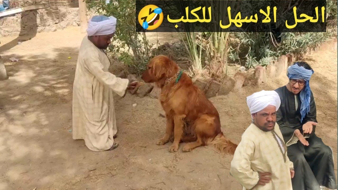 سعيد الاسطوره يضع ســ'م للكلب 😱 في العيش علشان مش قادر ينام وعم شوقي هو سبب الفتنه في البلد