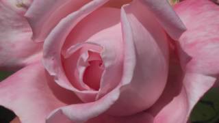 Byron Katie - Does love make demands?
