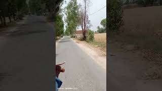 Ki Dum Da Browsa Yaar