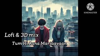 Tum Hi Aana Marjaavaan Lofi &3D mix music best night music