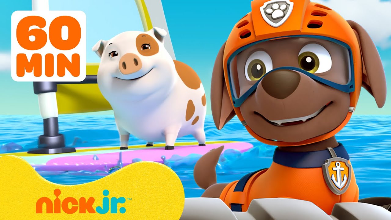 I salvataggi e le avventure marine del PAW Patrol 🐬 Compilation di 60 minuti| Nick Jr. Italia