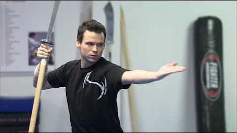Kim Gibson: VitaePro og Wushu