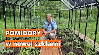 Pomidory już w nowej szklarni. Przygotowanie gleby do sadzenia w nowej szklarni.