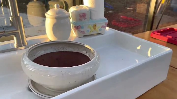 Exaco Royal Victorian V-i46 Green house completed!