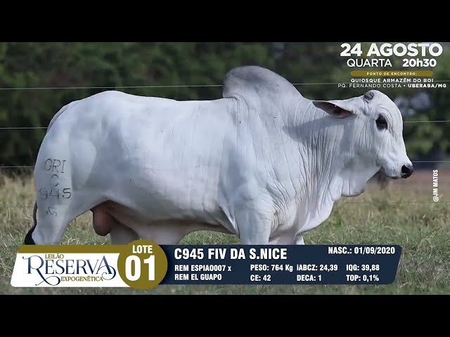 LOTE 01 GRI C945