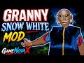 Granny Snow White Mod Gameplay ❄️👑 | Scary Escape Challenge #shorts