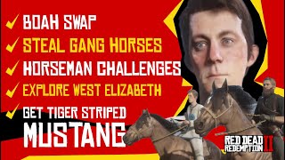 5 Challenges To Make Jamie Gillis Intersting - Horseman Challenges Tiger Striped Mustang - Rdr2