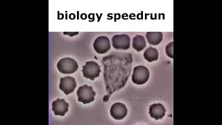 biology speedrun