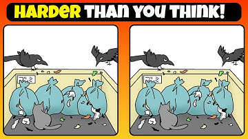 3 Differences Hidden in Plain Sight – Can You Find Them?