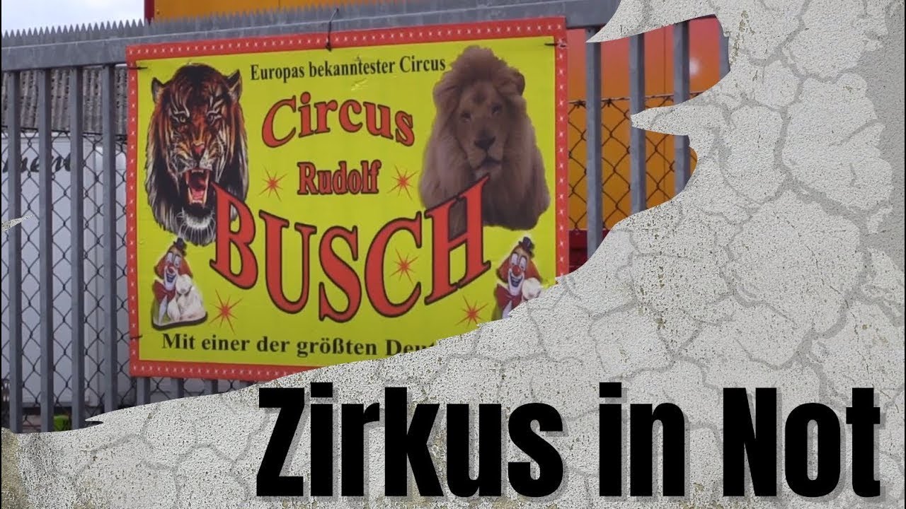 Zirkus Rudolf Busch in Not - wie Corona die Existenz bedroht