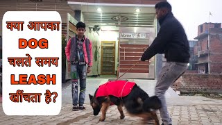 German Shepherd Dog leash Training Day 1 training for  Beginners (Dog Leash Basics)