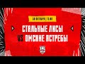 30.10.2023. «Стальные Лисы» – «Омские Ястребы» | (OLIMPBET МХЛ 23/24) – Прямая трансляция