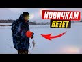 Первый ОКУНЬ на зимней рыбалке. Новичкам везет.