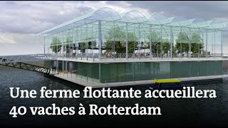 La première ferme flottante s’installe à Rotterdam