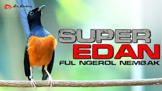 MURAI BATU EDAN SUPER GACOR FULL NEMBAK NGEBREN LOS MATERI ISIAN