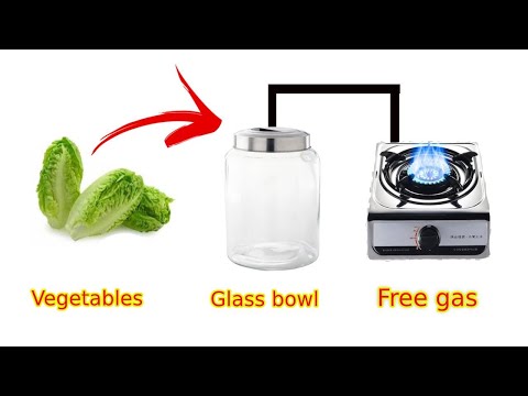 How to use gas from vegetables and animal dung