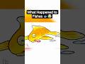 Why Fishes Die after taken out from water 🤯🐟 #facts #shorts #fishyfacts