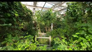 Take a drone tour through Westminster's Butterfly Pavilion!