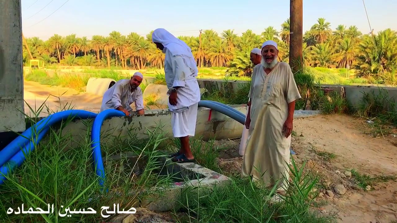 اكبر مشروع زراعي بالاحساء