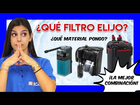 Video: ¿Cuál es el mejor filtro de acuario para elegir?