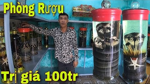 Hé Lộ Bí Mật Của Săn Bắt Ẩm Thực Vùng Cao, Phòng Rượu Rắn Giá Trị Hàng 100tr | SBATVC
