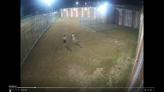 RAW VIDEO: Watch 4 inmates escape from Georgia jail