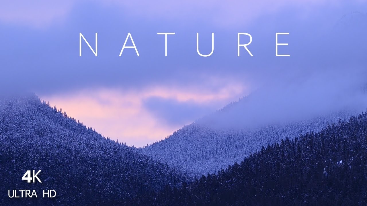 Nature Compilation | Scenic | Cinematic Music