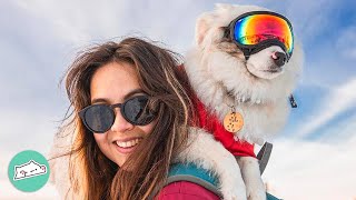Deaf Aussie Hikers Have No Fear Because They Have Each Other | Cuddle Buddies