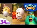 Curious como  watermelon  more 34min  cartoon for kids  como kids tv