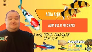 Aquabox At KoiSmart  Stock Highlights 4/28-5/4/2025 w/ Aqua Alex
