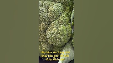 Đừng rửa bông cải xanh bằng nước !nó tương tự việc ăn tạp chất và trứng côn trùng