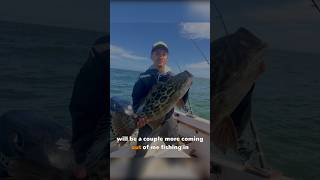 Back with daily content enjoy the video! #fishing#grouperfish#fish#bigfish #justfishing