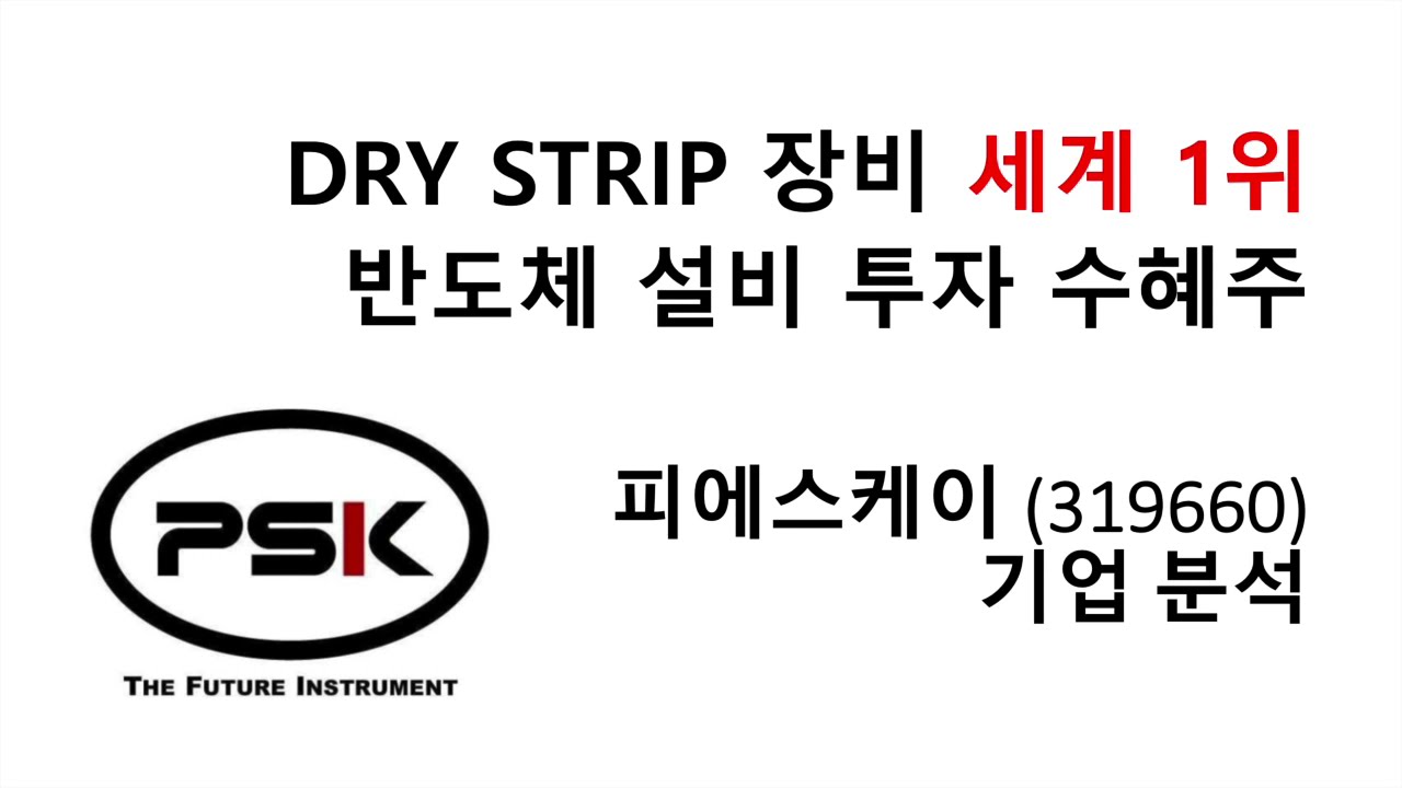 드라이 스트립 세계 점유율 1위 피에스케이 (PSK)