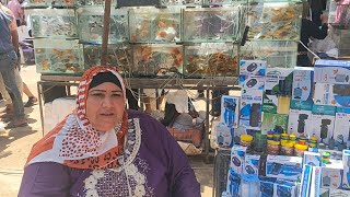 عروض وتخفيضات قبل رفع الاسعار سوق الجمعه بالسيدة عائشة مع ام شريف جميع مستلزمات اسماك الزينه screenshot 3