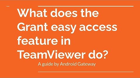 What does the Grant easy access feature in TeamViewer do?