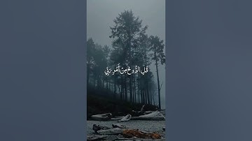 تلاوة للقارئ.ناصر القطامي🌧. مقاطع قران قصيره. حالات واتس اب💚💚