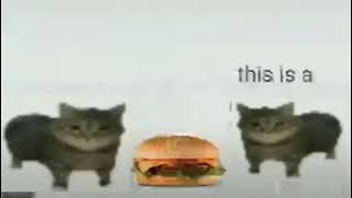 This is a. hamburger