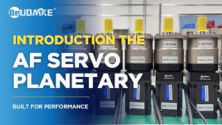 AF Planetary Gearbox with Servo Motorr | High Precision & Strong Torque Motion Control Wealth