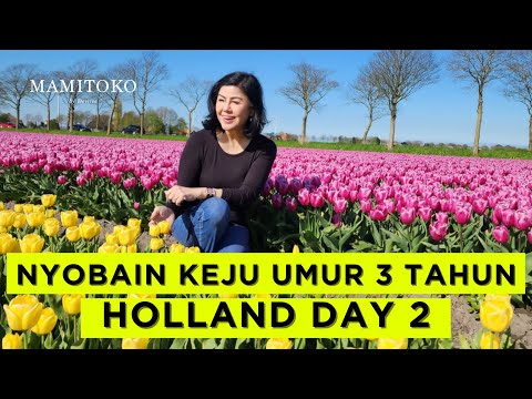 NYOBAIN KEJU UMUR 3 TAHUN!!!! HOLLAND DAY 2