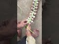 Make long strips using garlic.