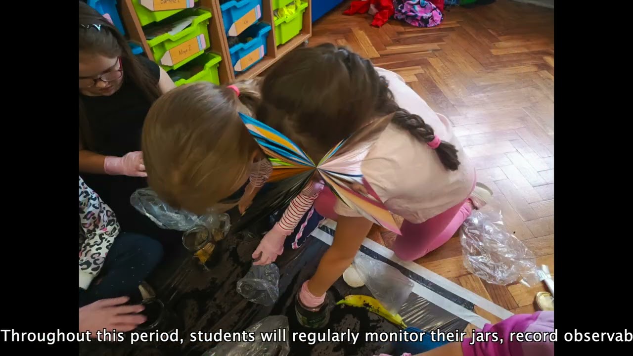 Ecological experiment