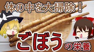 【ゆっくり解説】体内をお掃除！『ごぼう』の栄養について解説！