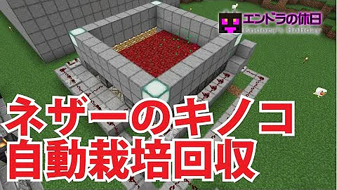 マインクラフト 93 超便利な自動収穫機が完成した 歪んだキノコ真紅のキノコお花自動化 ハードコアマルチプレイ Season 4 Mp3